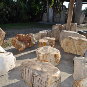 MEMOIRE DES ORIGINES - NICE - FABRIQUANT - IMPORTATEUR - DECORATEUR - FACTORY