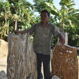 MEMOIRE DES ORIGINES - NICE - FABRIQUANT - IMPORTATEUR - DECORATEUR - FACTORY