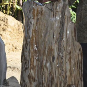 MEMOIRE DES ORIGINES - NICE - FABRIQUANT - IMPORTATEUR - DECORATEUR - FACTORY