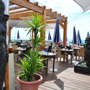 MEMOIRE DES ORIGINES - NICE - FABRIQUANT - IMPORTATEUR - DECORATEUR - REFERENCES