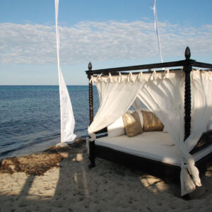 MEMOIRE DES ORIGINES - NICE - FABRIQUANT - IMPORTATEUR - DECORATEUR - REFERENCES