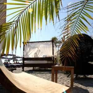 MEMOIRE DES ORIGINES - NICE - FABRIQUANT - IMPORTATEUR - DECORATEUR - REFERENCES